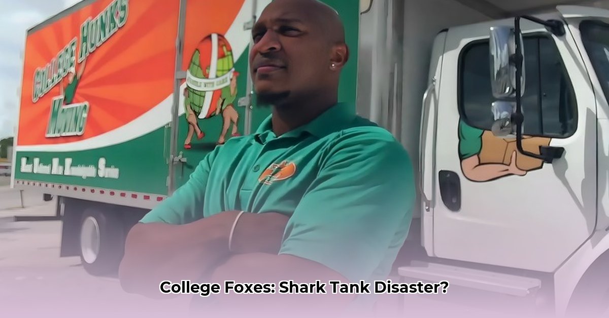 college-foxes-packing-boxes-net-worth